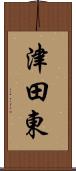 津田東 Scroll