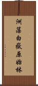 洲藻白嶽原始林 Scroll