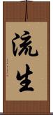 流生 Scroll