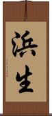 浜生 Scroll