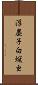 浮塵子 Scroll