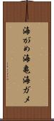 海がめ Scroll