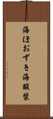 海ほおずき Scroll