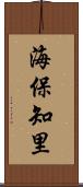 海保知里 Scroll