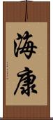 海康 Scroll