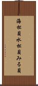 海松貝 Scroll