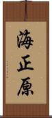 海正原 Scroll