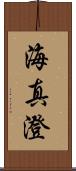海真澄 Scroll