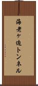 海老ヶ迫トンネル Scroll