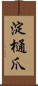 淀樋爪 Scroll