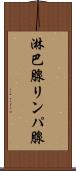 淋巴腺 Scroll