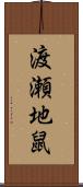 渡瀬地鼠 Scroll