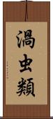 渦虫類 Scroll
