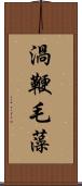 渦鞭毛藻 Scroll