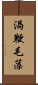 渦鞭毛藻 Scroll