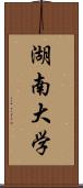 湖南大学 Scroll