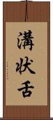 溝状舌 Scroll