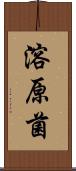 溶原菌 Scroll