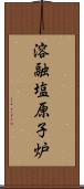 溶融塩原子炉 Scroll