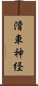 滑車神経 Scroll