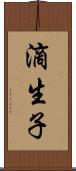 滴生子 Scroll