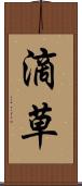 滴草 Scroll