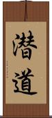 潜道 Scroll