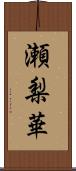 瀬梨華 Scroll