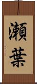 瀬葉 Scroll