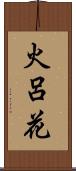 火呂花 Scroll