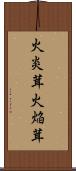 火炎茸 Scroll