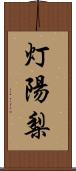 灯陽梨 Scroll