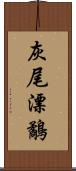 灰尾漂鷸 Scroll