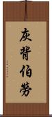 灰背伯勞 Scroll