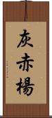 灰赤楊 Scroll