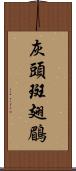 灰頭斑翅鶥 Scroll