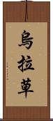 烏拉草 Scroll