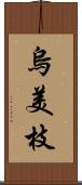 烏美枝 Scroll