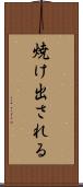 焼け出される Scroll