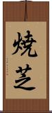 焼芝 Scroll