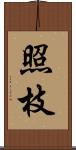 照枝 Scroll