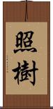 照樹 Scroll