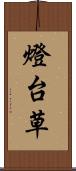 燈台草 Scroll