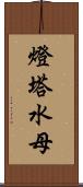 燈塔水母 Scroll