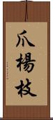 爪楊枝 Scroll