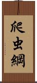 爬虫綱 Scroll
