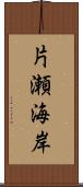 片瀬海岸 Scroll