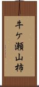 牛ケ瀬山柿 Scroll