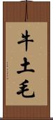 牛土毛 Scroll