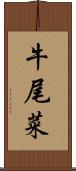 牛尾菜 Scroll